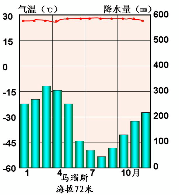 美国文化中的特殊现象，人与动物关系的探讨——以与d0g交为例-第2张图片
