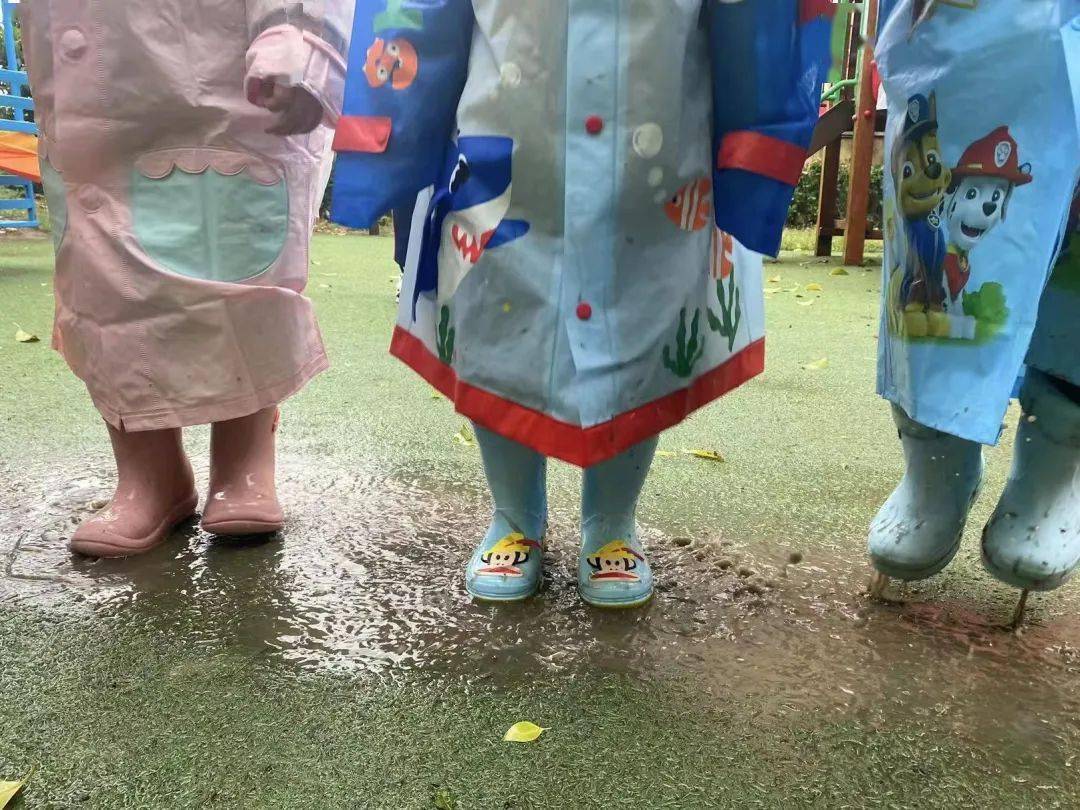 雨地中的隐藏奖励-第3张图片