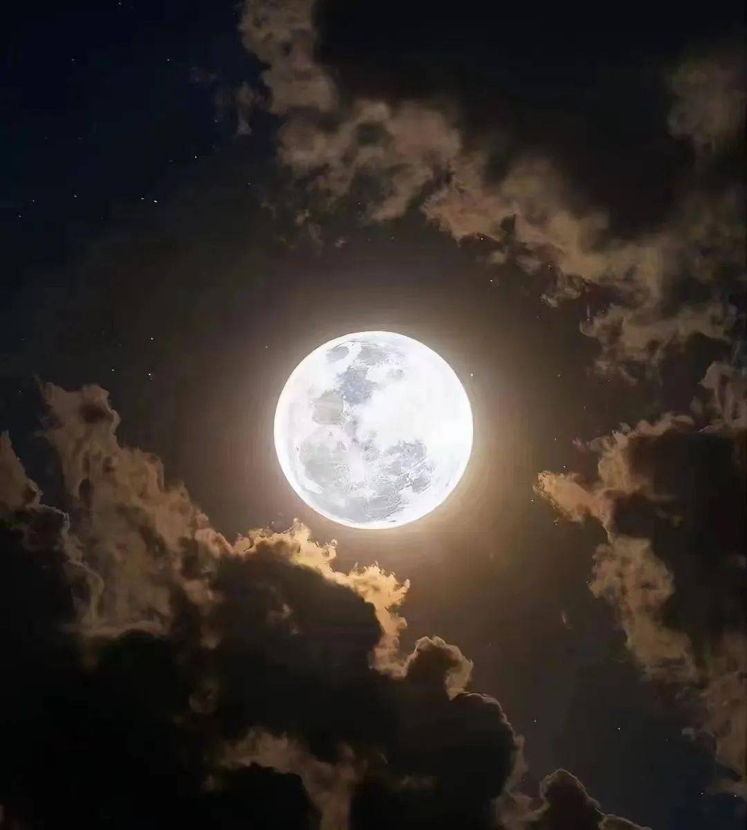 夜月直播APP，免费观看，点亮你的夜晚-第1张图片