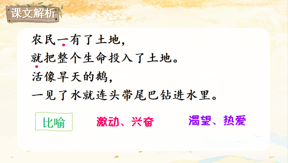 五月丁香之谜，亚洲的色彩与文化探讨-第3张图片