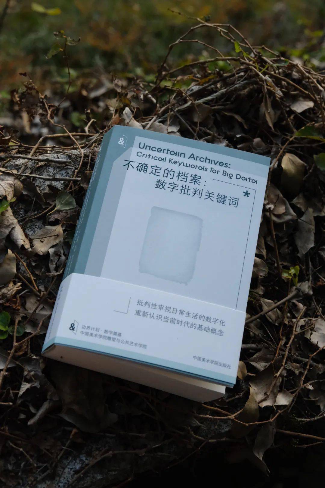 九蜜汁导航九蜜汁导航——探索未知的数字世界之旅