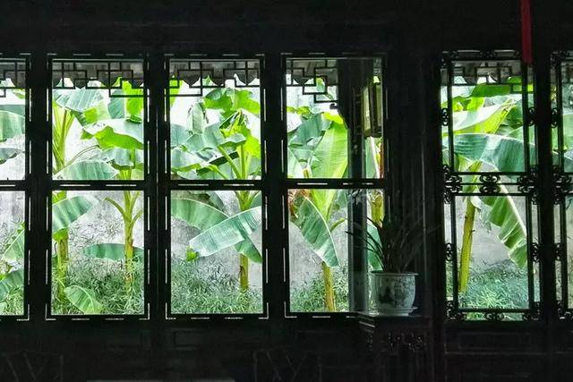 扬琴独奏雨打芭蕉视频芭蕉视频，探索现代科技与文化交融的魅力