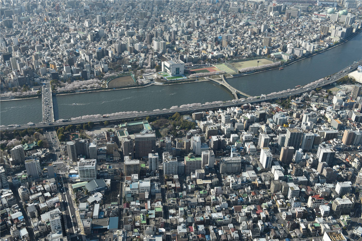 亚洲日本一线产区二线产区在哪里日本产区探秘，一线与二线产区的地理分布