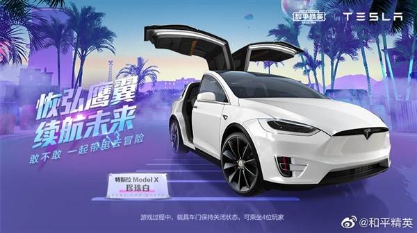 和平精英特斯拉兑换码2024最新和平精英特斯拉兑换码，解锁未来科技之门的神秘钥匙-第1张图片