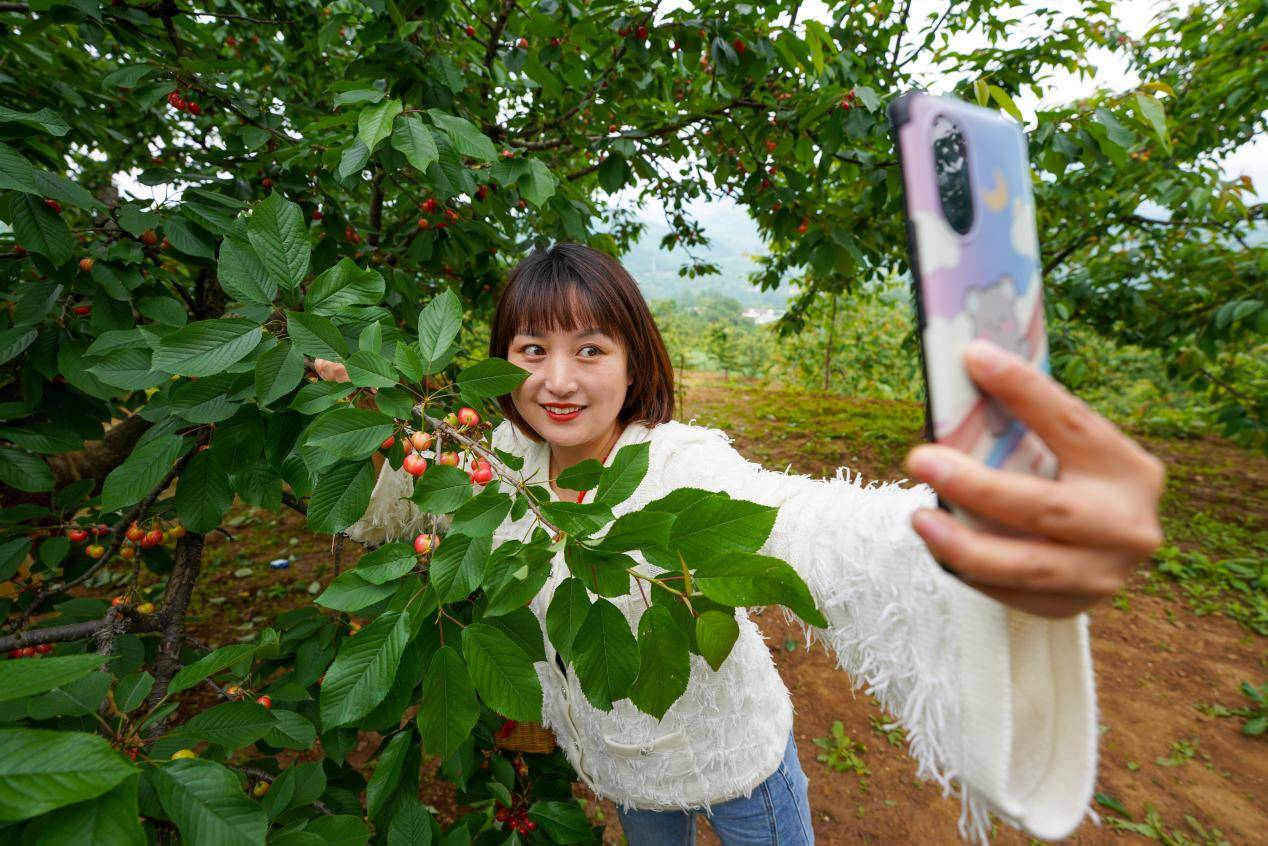 樱桃短视频未满十八岁能看吗樱桃短视频与未成年人的界限探讨