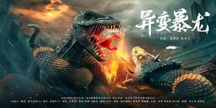 国产视频1国产视频的崛起与发展-第2张图片