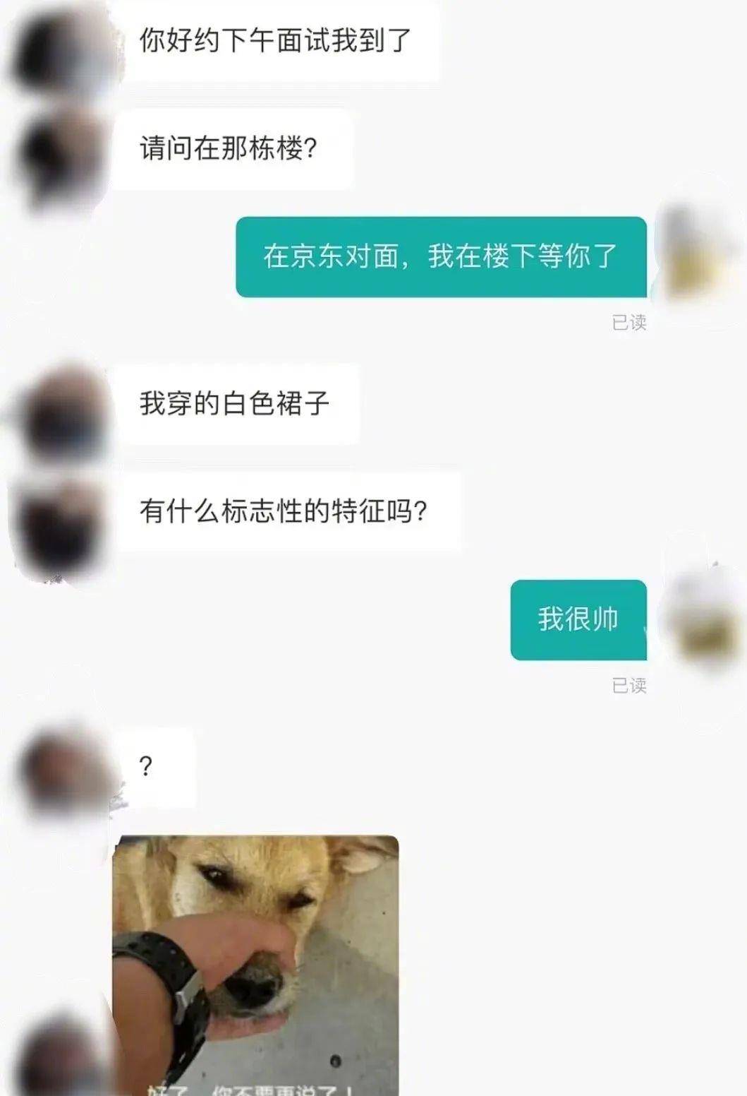 麻豆传煤官网APP的正规使用指南——远离不良内容入口