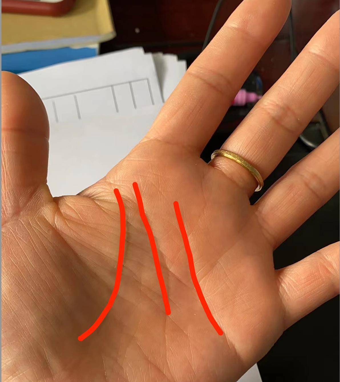 生命线 攻略生命线攻略，探索与成长的智慧之书-第3张图片