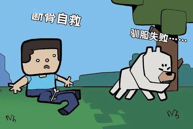 探索嗯嗯与撸跳转的奇妙世界