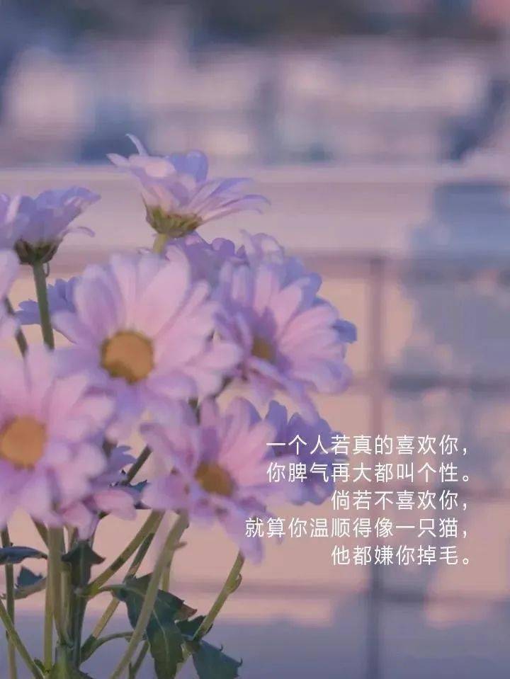 小妖精的魔法，一场难以忘怀的激情之旅