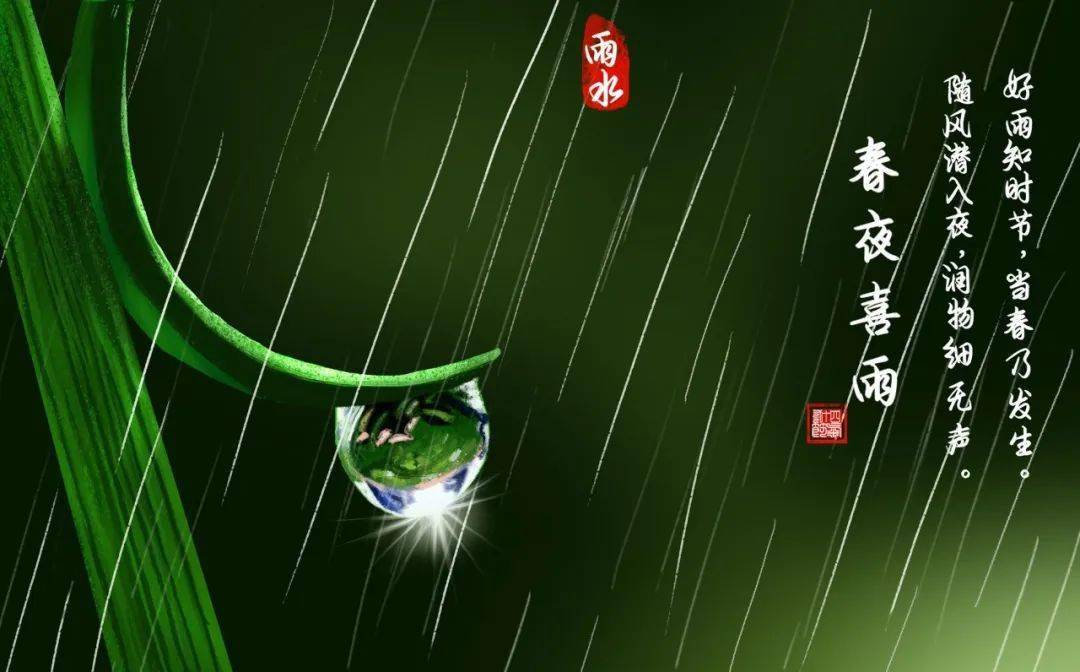 春雨app直播免费看春雨app直播——免费观看，畅享精彩-第1张图片