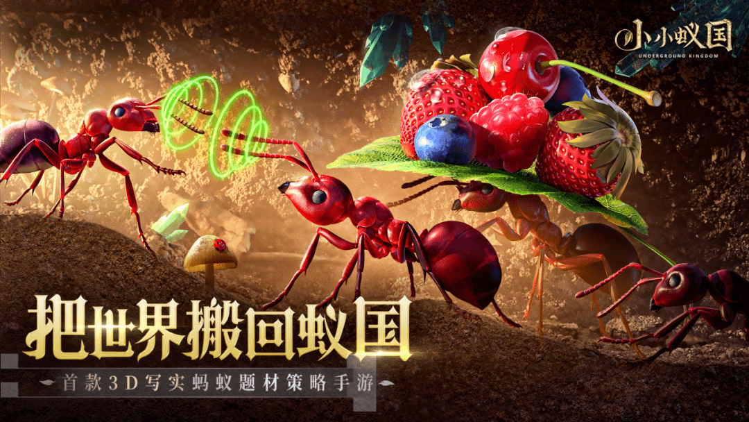 三及网站，探索网络世界的无限可能-第2张图片