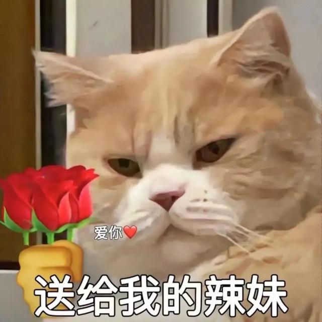 把女朋友培养成狗把女朋友培养成心肝宝贝的独特方式-第2张图片