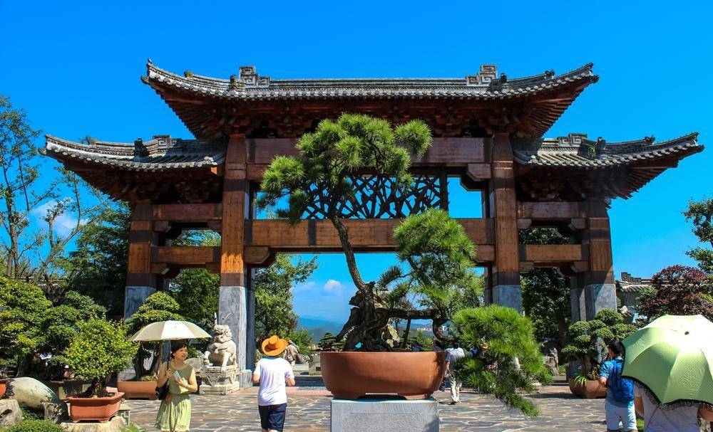 天下第一视频社区探索天下第一视频社区的魅力与独特之处-第2张图片