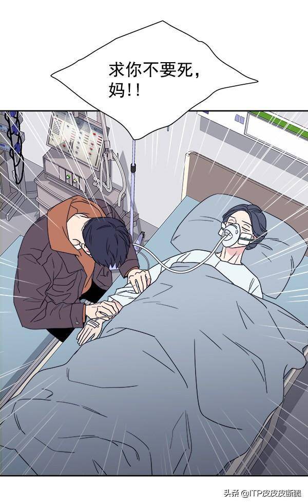 无翼乌的奇幻世界，无彩与漫画之谜