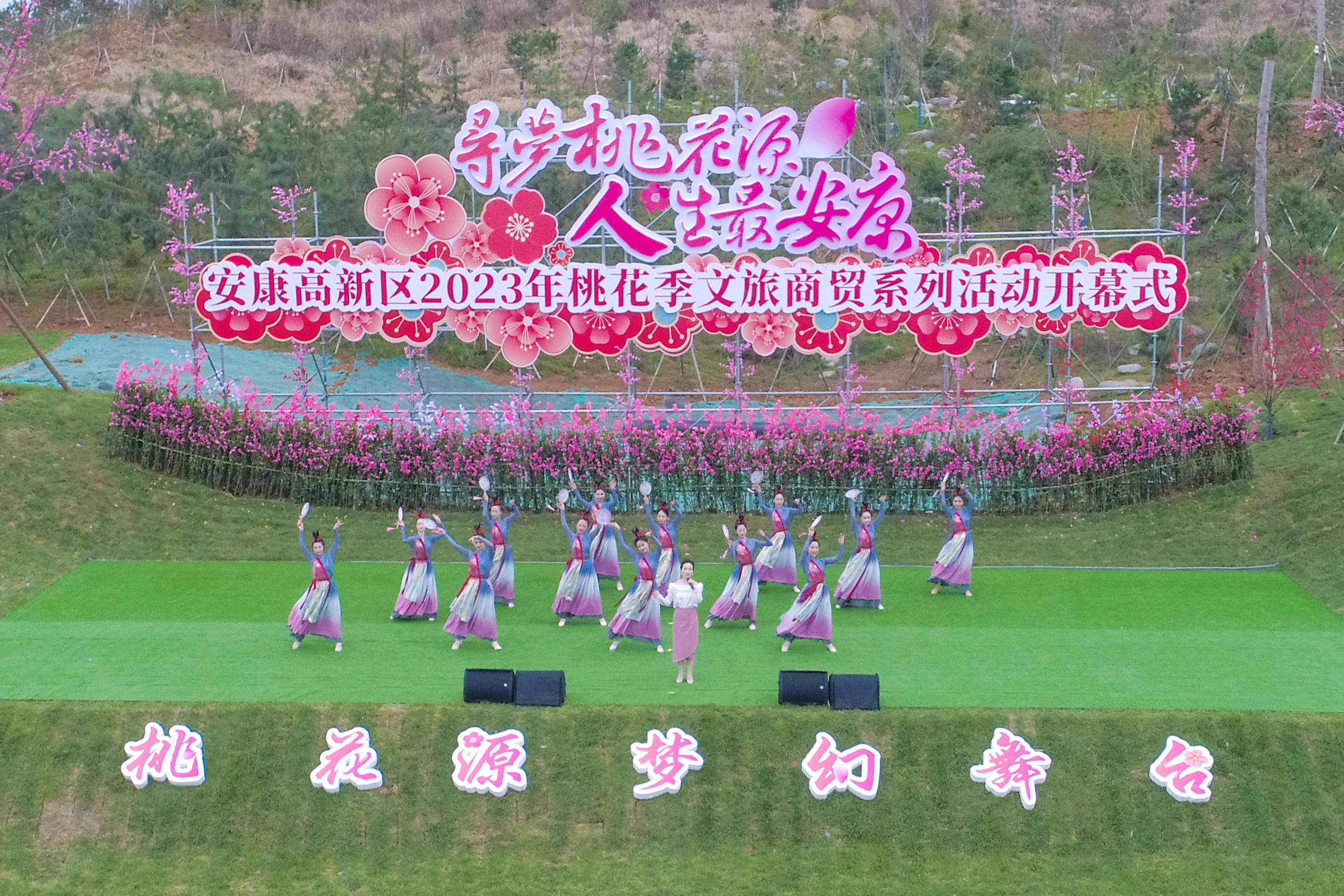 桃花社区高清视频的魅力与探索-第3张图片