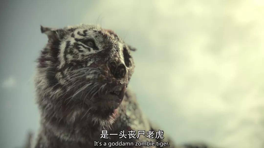 活死人军团迅雷下载指南