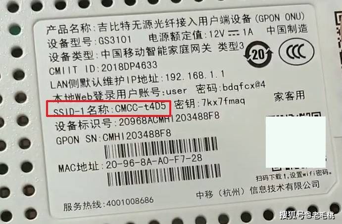 chinanet中国网络之魂——Chinanet的崛起与影响-第2张图片