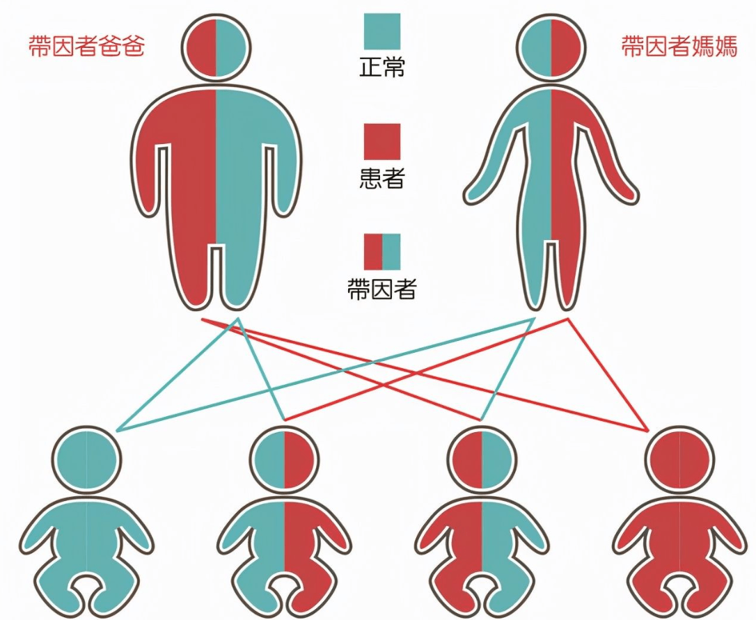 近親五十路六十被亲子中出近亲关系中的伦理与道德困境——五十路六十被亲子中出的故事