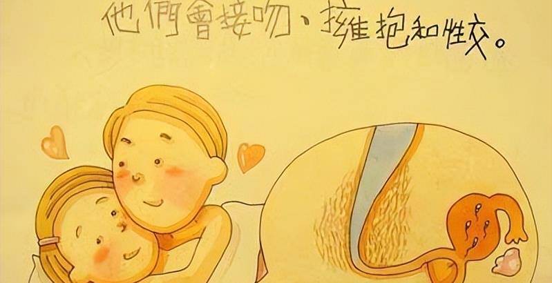 男阳茎与女阳道，生理结构与性爱体验-第2张图片
