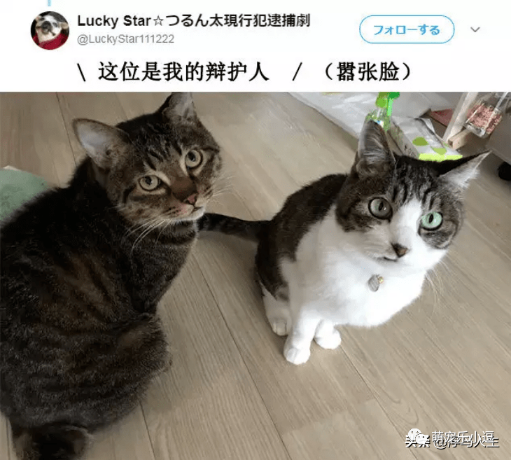 家庭中的错误行为——家公吃我奶的反思-第2张图片