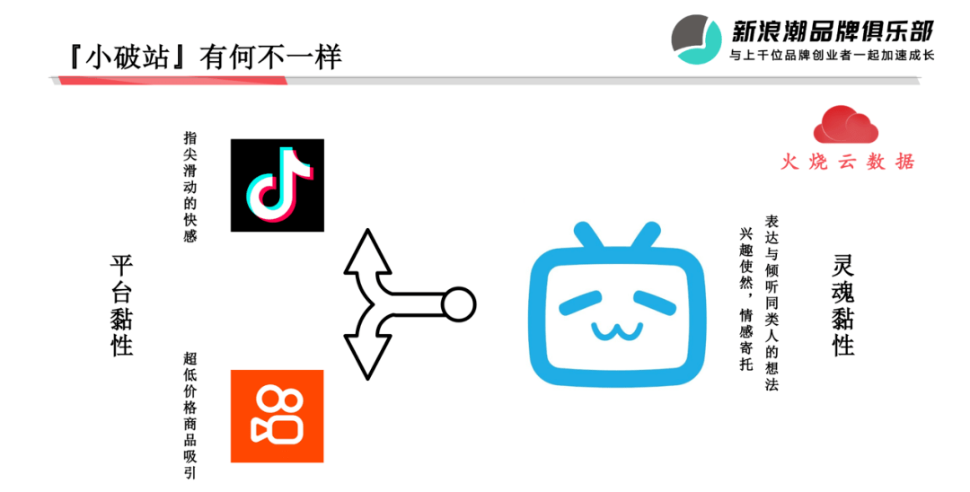 PROUMB网页版进入PROUMB网页版进入，使用指南与体验分享