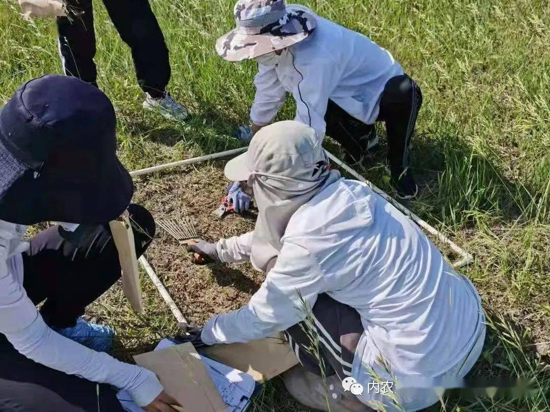 女体残虐、拘束拷问背后的炼狱——一位搜查官的调查纪实-第2张图片