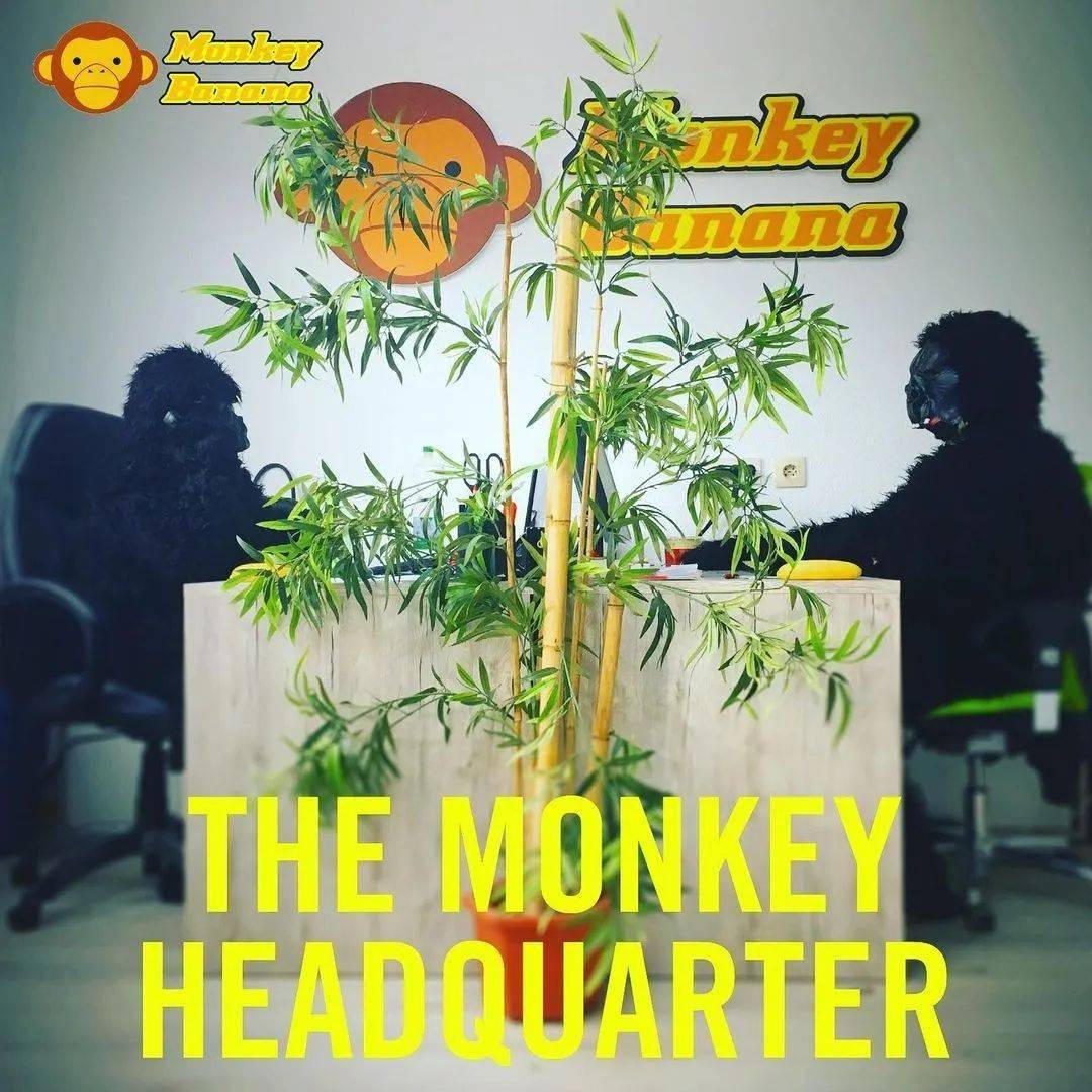 香蕉姐妹——探索Banana品牌的魅力