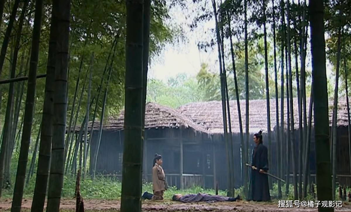 探索天下第一社区，多元文化的日本观影体验
