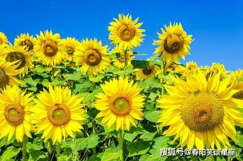 正能量网站，直接进入心灵的阳光之窗