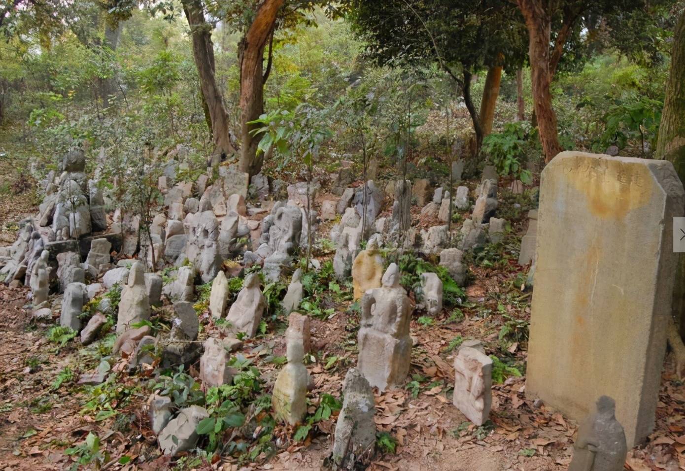 山谷阴兵操练阴兵操练之地，神秘传说与历史遗迹的交织