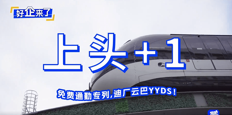 福利所——您的第一导航，享受全方位福利之旅-第1张图片