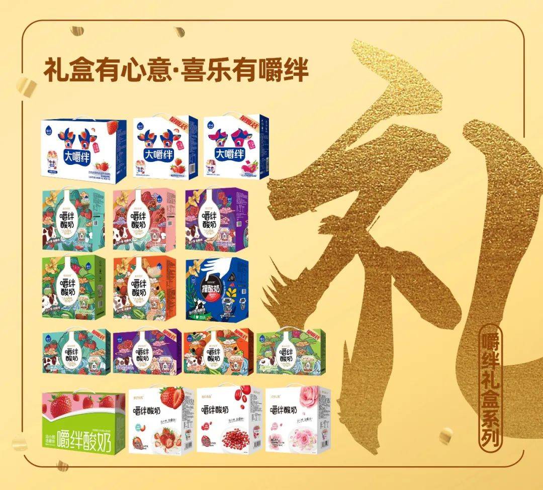 2013年春节礼包2013春节礼包，传统与现代交织的节日惊喜
