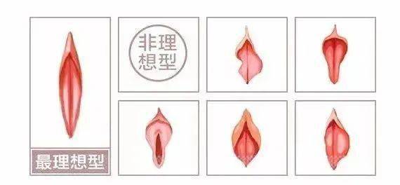 荫蒂被男人添舒服了探索女性敏感区域——男人如何通过舔舐让荫蒂感到舒适-第2张图片