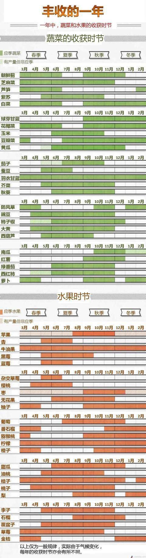 涩涩屋的奇妙果蔬之旅，草莓、丝瓜与秋葵的邂逅