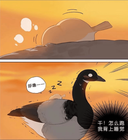 曰本漫画之天翼鸟大全曰本漫画之天翼鸟大全
