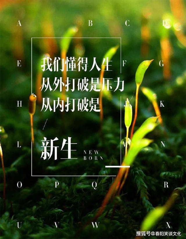 免费网站你懂我意思正能量WWW免费网站，你懂我意思的正能量源泉-第2张图片