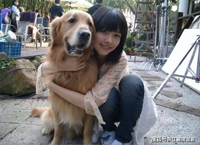 女性最佳伴侣，哪种狗最适合女性自己用？