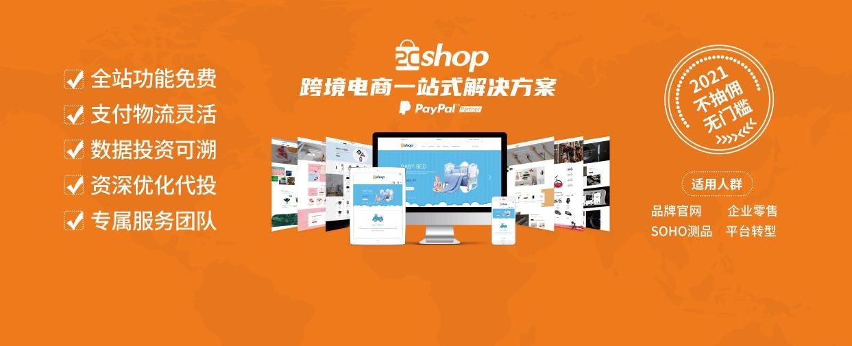 欧美独立站运营二区，策略、挑战与未来-第3张图片