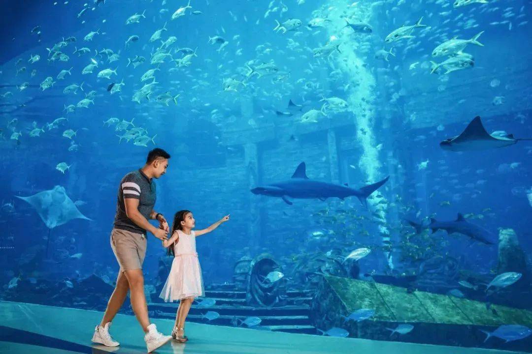 探索真实世界——老师与小兔子的柔软水世界之旅