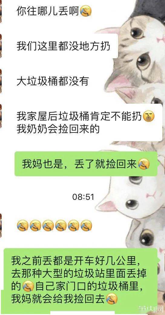 妈妈的朋友4线在 完整版视频妈妈的朋友4线，一段珍贵的情感与生活的完整记录-第3张图片