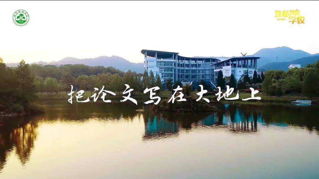 浙江农林大学，校园里的聊天与成长故事