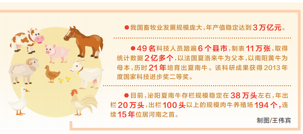 人与畜禽的关系人与畜禽的关系，共生共荣的和谐篇章-第2张图片