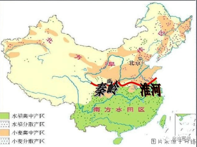 中文字幕一线产区和二线区的区别中文字幕一线产区和二线区的差异解析-第2张图片