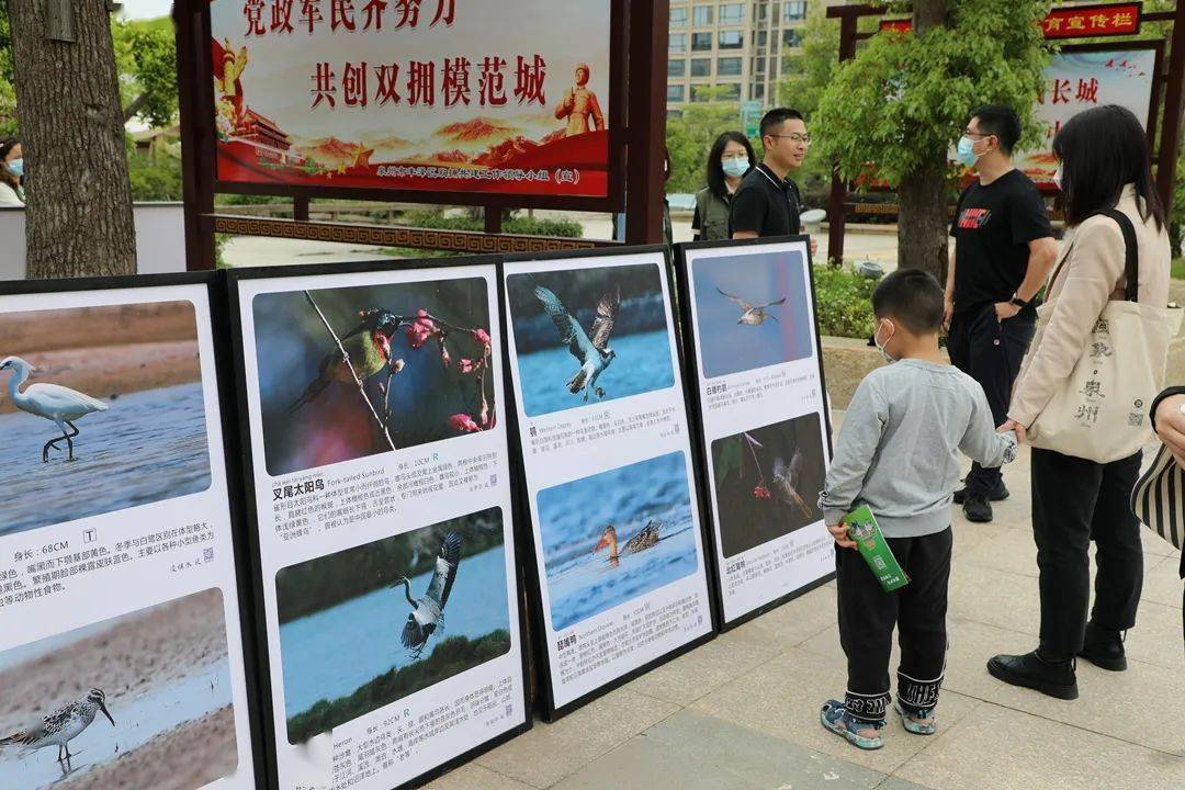 国产在线视频的多样性与一区特色