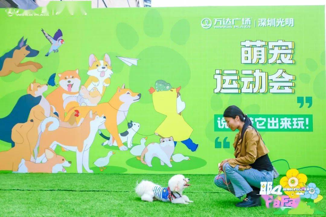 阿猫阿狗下载站_安卓绿色软件下载站阿猫阿狗2下载，游戏体验与乐趣的全新篇章-第2张图片