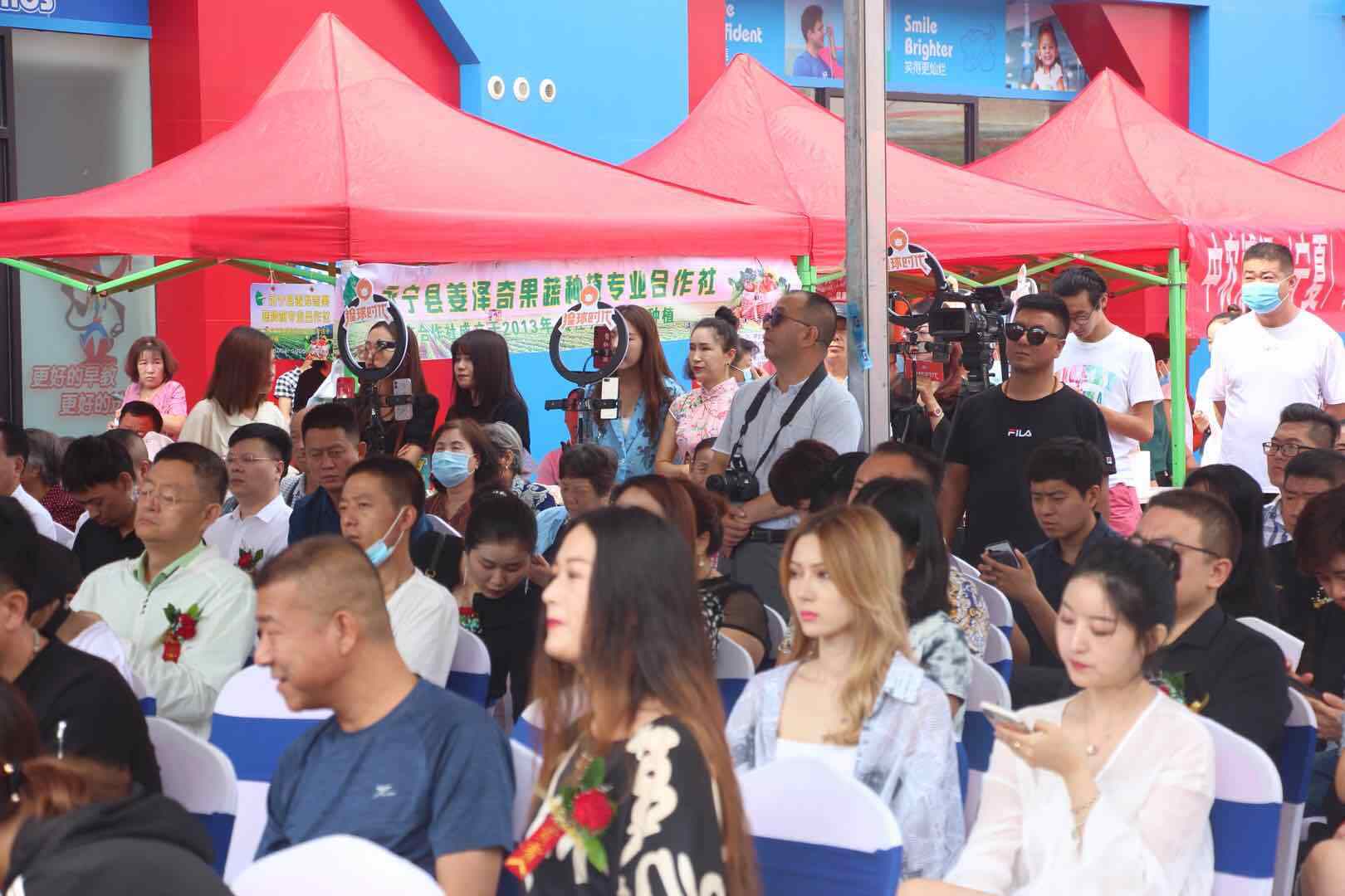 仙踪林最新短视频区盛大开放——邀您共赏精彩瞬间-第2张图片