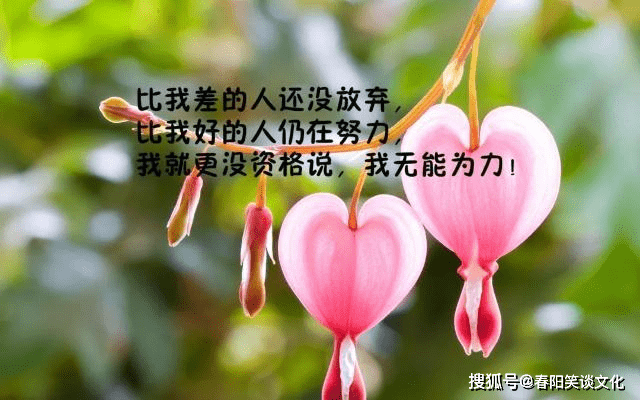 2021网站你懂我意思正能量2021年，网站正能量，你懂我意思