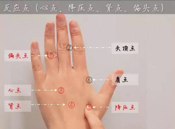 丰年轻的继拇中文3使用方法丰年轻继拇中文3使用方法详解-第2张图片