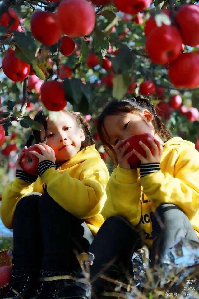 红扑扑中国官网红扑扑的中国——魅力四溢的华夏大地-第1张图片